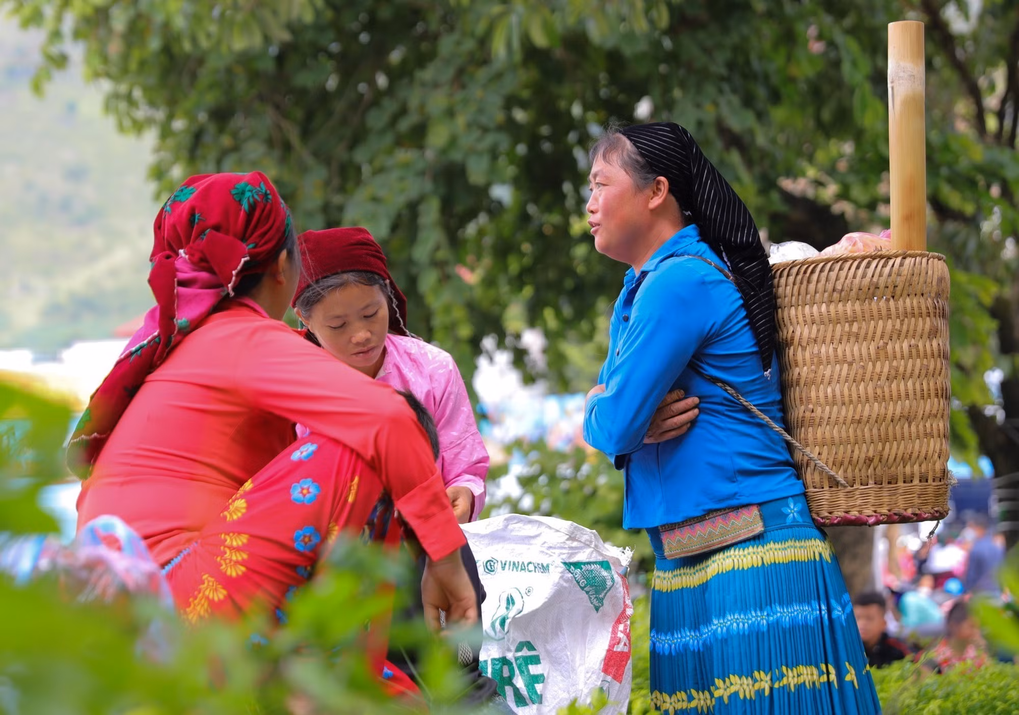 Đồng bào vùng cao Hà Giang nô nức xuống chợ phiên Mèo Vạc ảnh 17