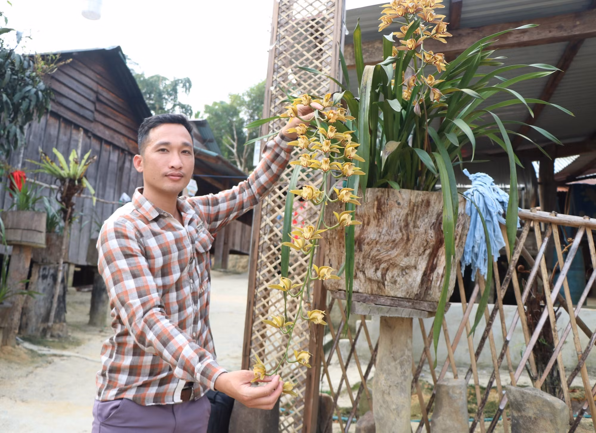 Vi Rơ Ngheo, làng hoa lan giữa đại ngàn Tây Nguyên ảnh 12 Vi Rơ Ngheo, làng hoa lan giữa đại ngàn Tây Nguyên ảnh 12