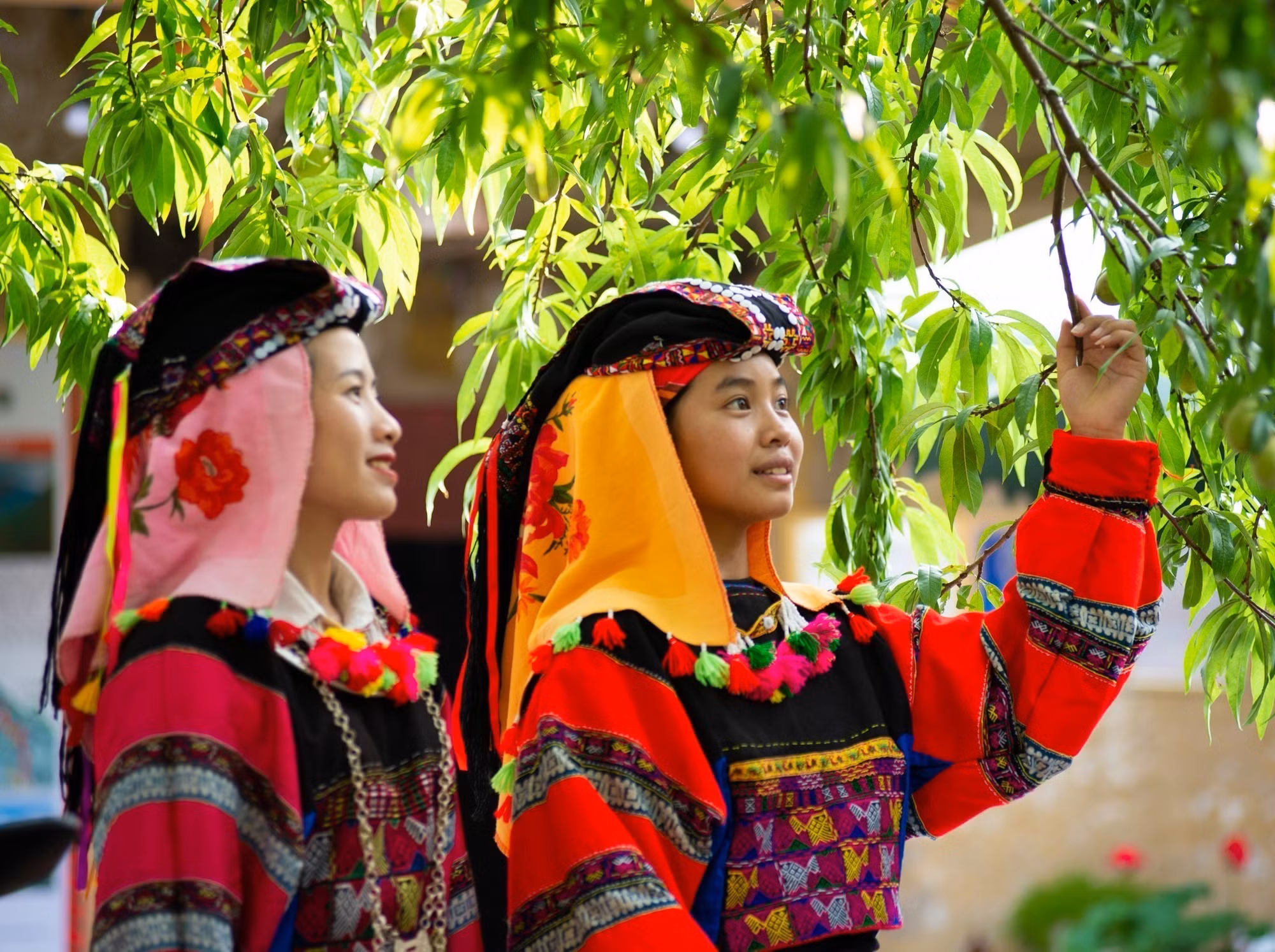 Hà Giang: Đưa sản phẩm thổ cẩm truyền thống vào hoạt động du lịch ảnh 4