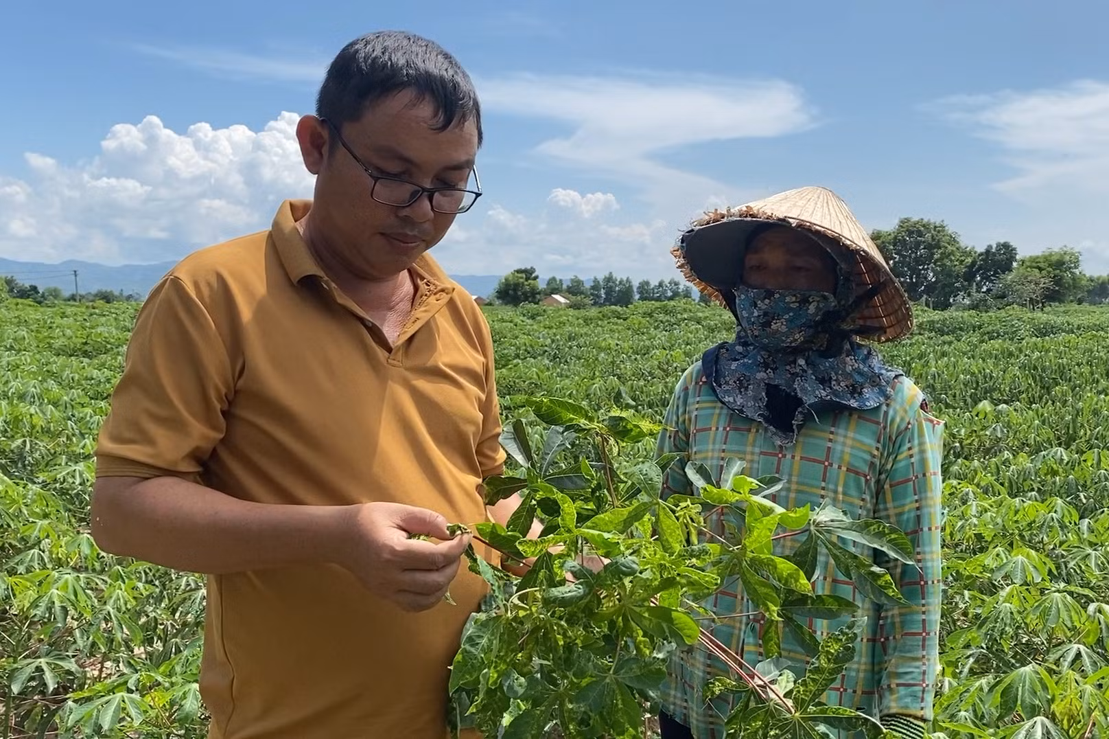 Đánh thức vùng đất Krông Pa ảnh 5