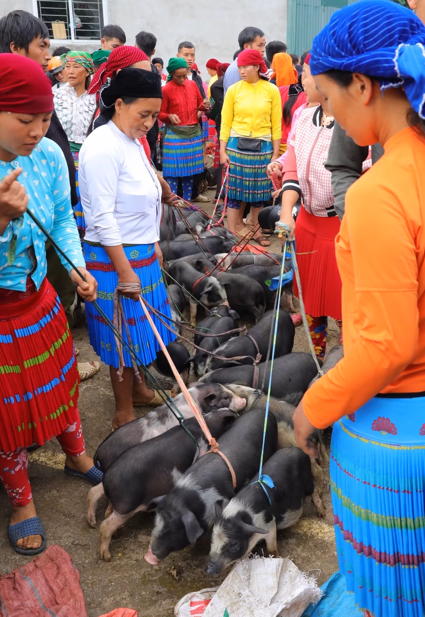 Đồng bào vùng cao Hà Giang nô nức xuống chợ phiên Mèo Vạc ảnh 7