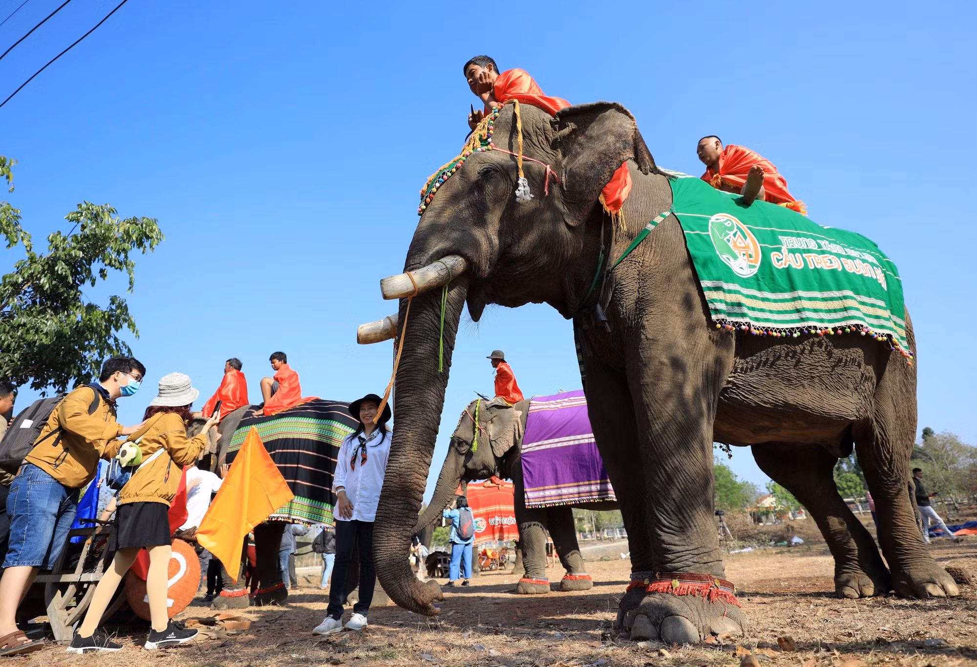 Lễ hội Cà phê Buôn Ma Thuột lần thứ 8: Nhiều ấn tượng tốt đẹp trong lòng công chúng ảnh 3