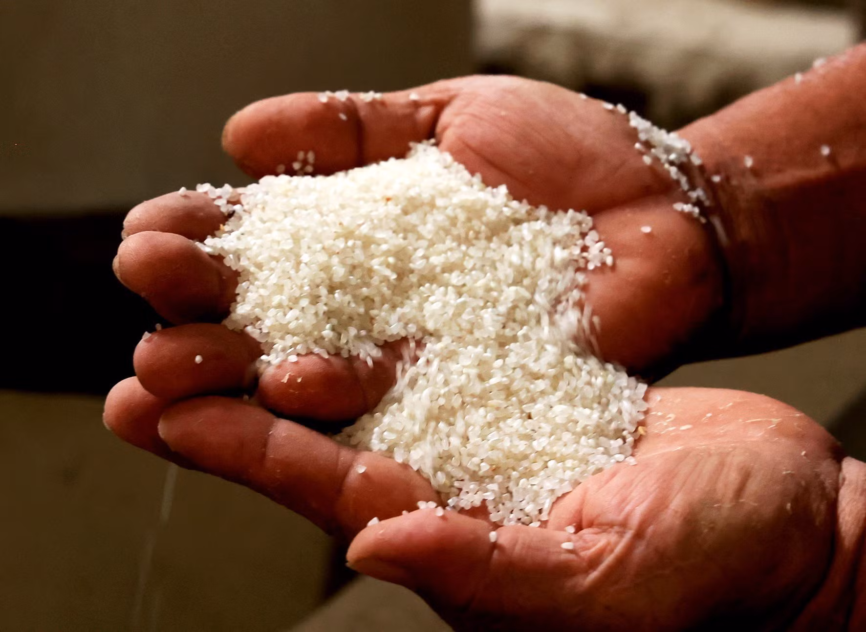 Xuất khẩu gạo trong tình hình mới (Bài 1) ảnh 1