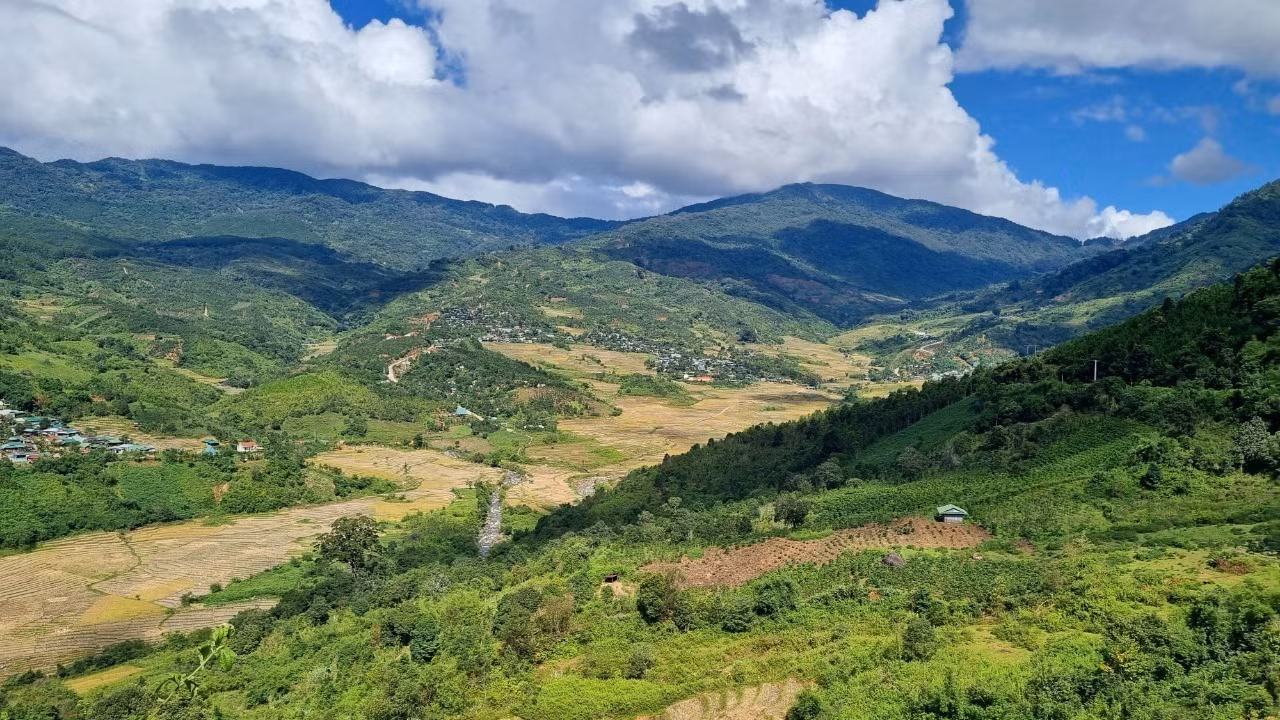 Mùa vàng ở thung lũng Măng Ri ảnh 6