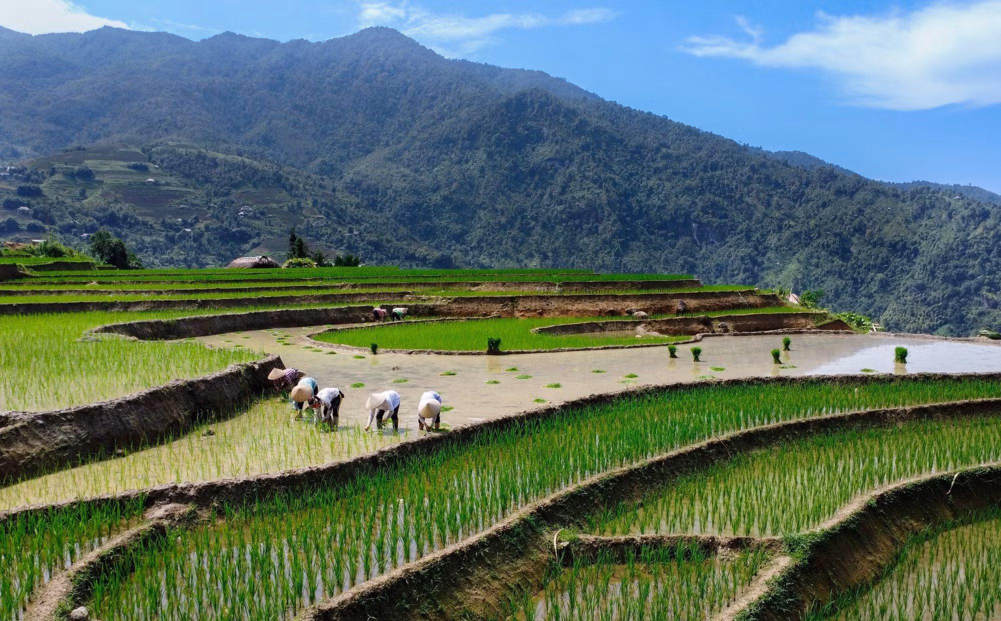 Hà Giang mùa nước đổ muộn ảnh 2