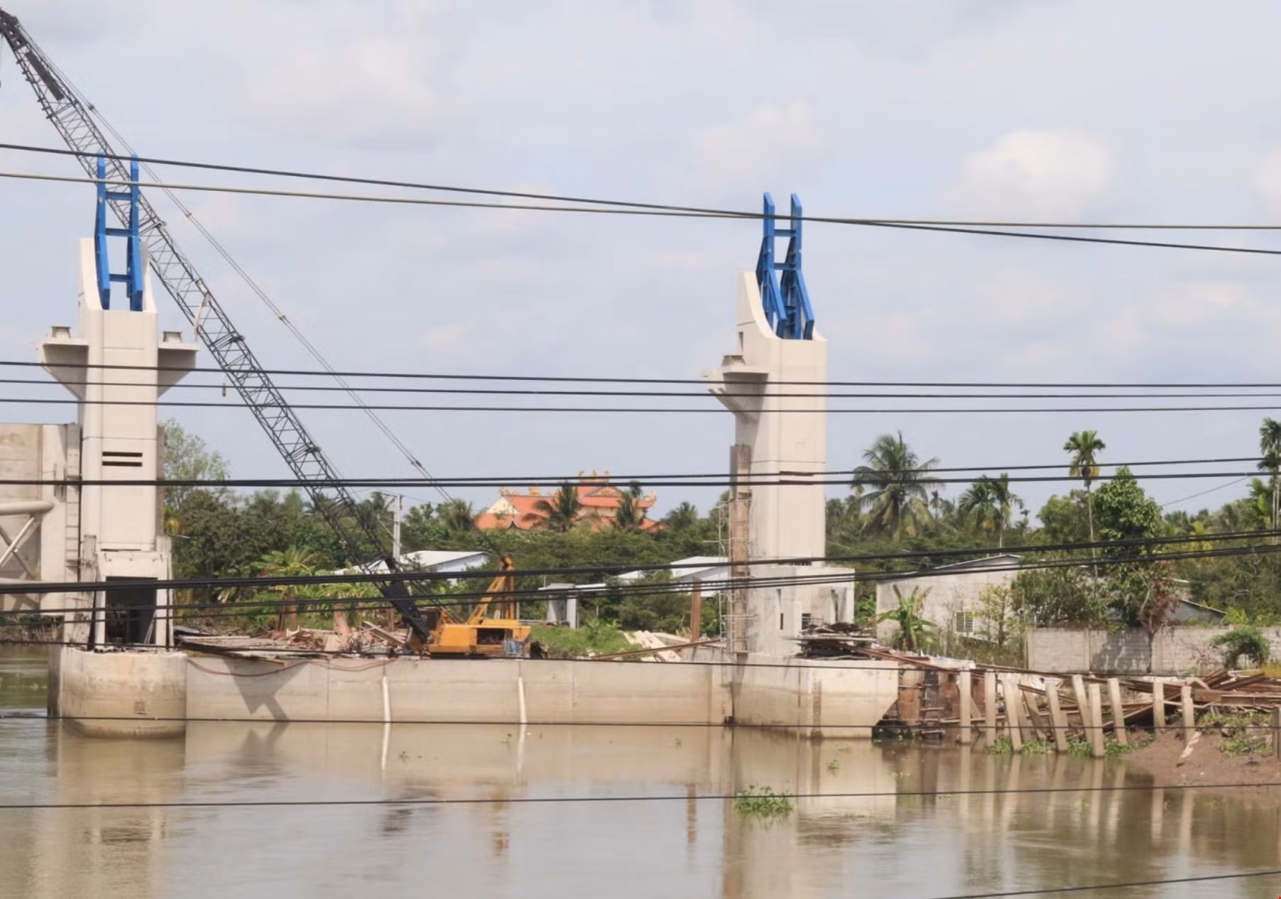 Tiền Giang bảo vệ vùng cây ăn quả xuất khẩu trước nguy cơ hạn mặn ảnh 1
