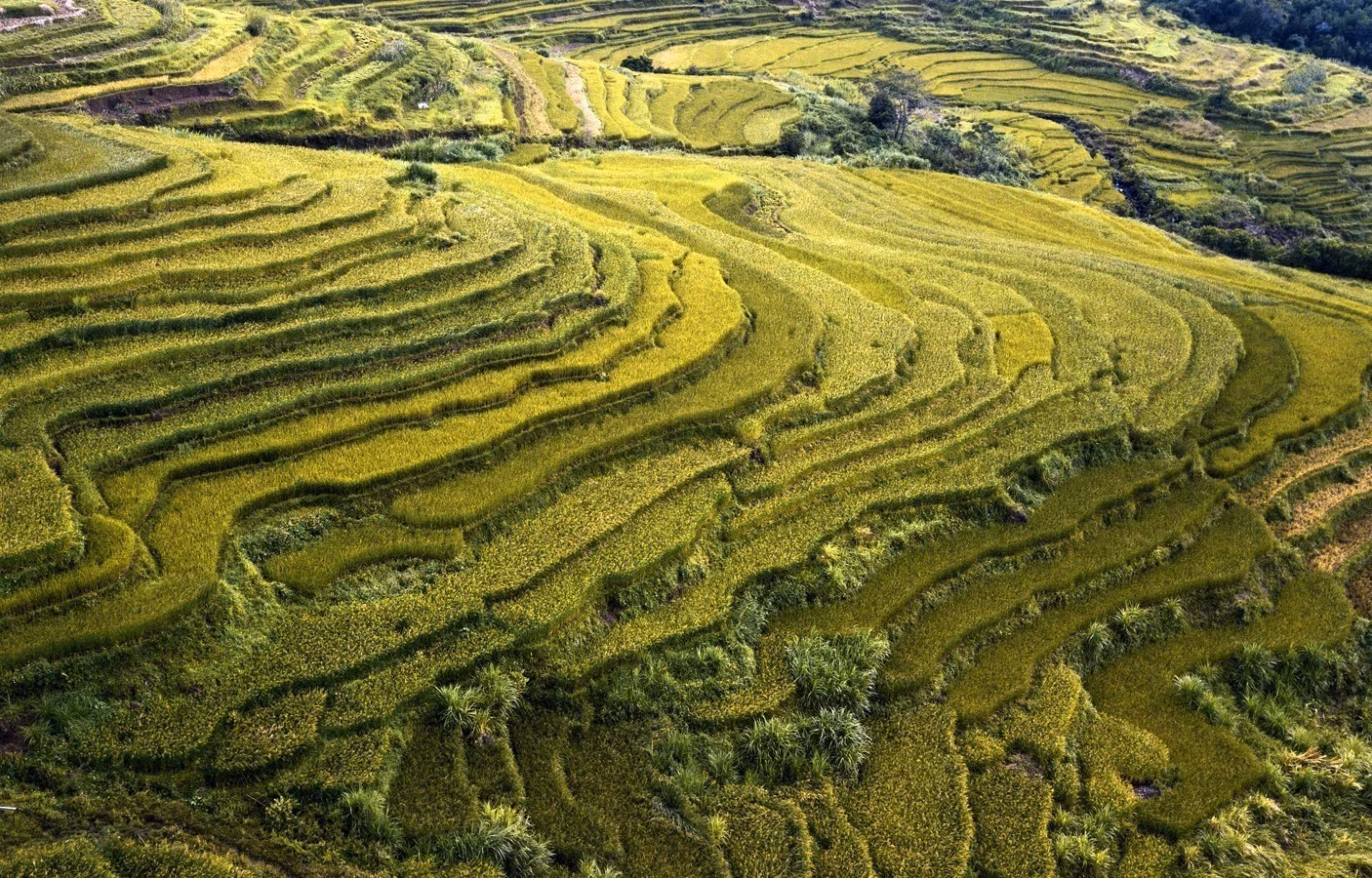 Ruộng bậc thang Miền Đồi - ẩn số chưa khai phá của du lịch Hòa Bình ảnh 7