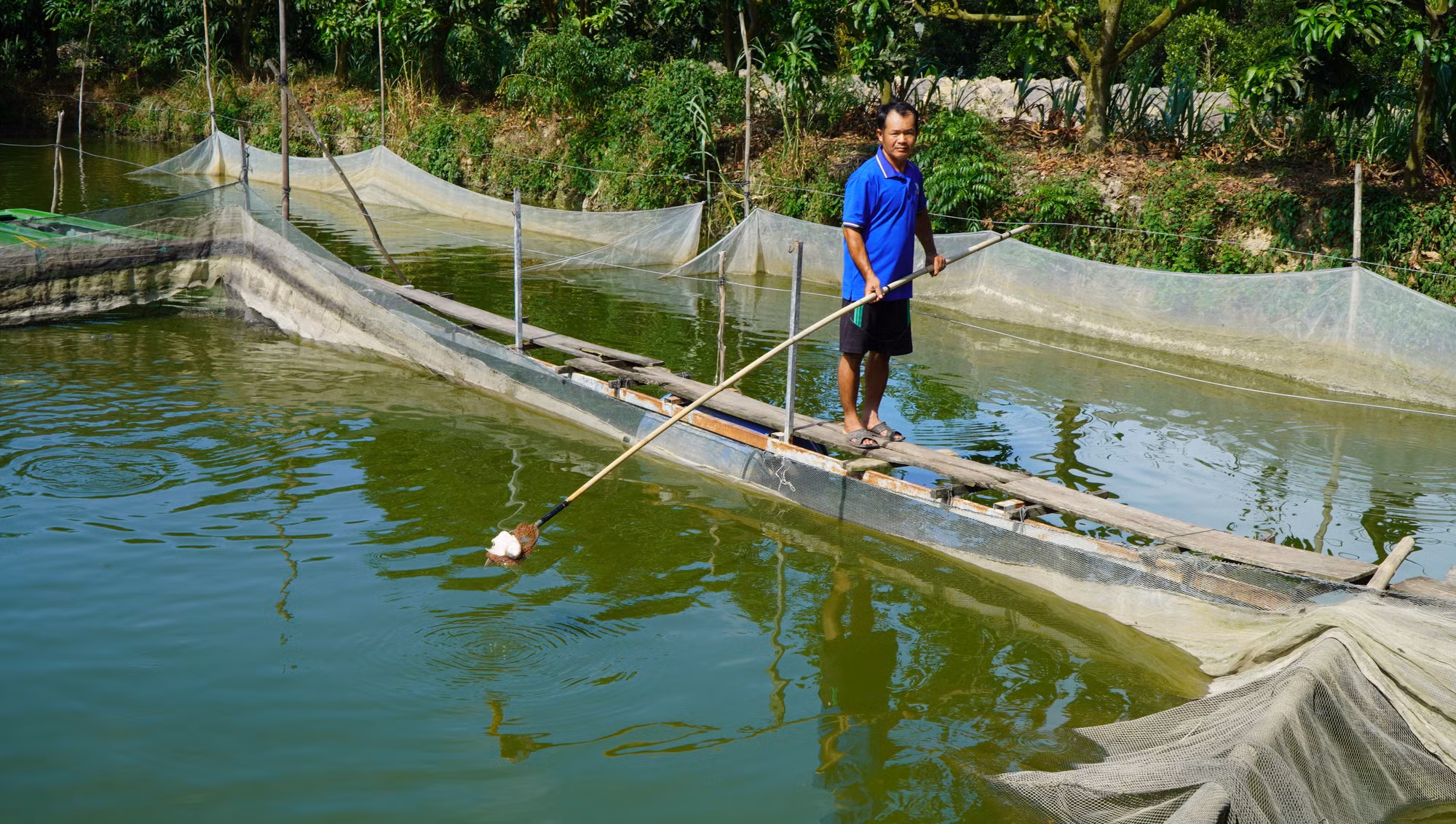 Đời sống, sản xuất của người dân bị ảnh hưởng vì rạch Ông Ấu ô nhiễm ảnh 1
