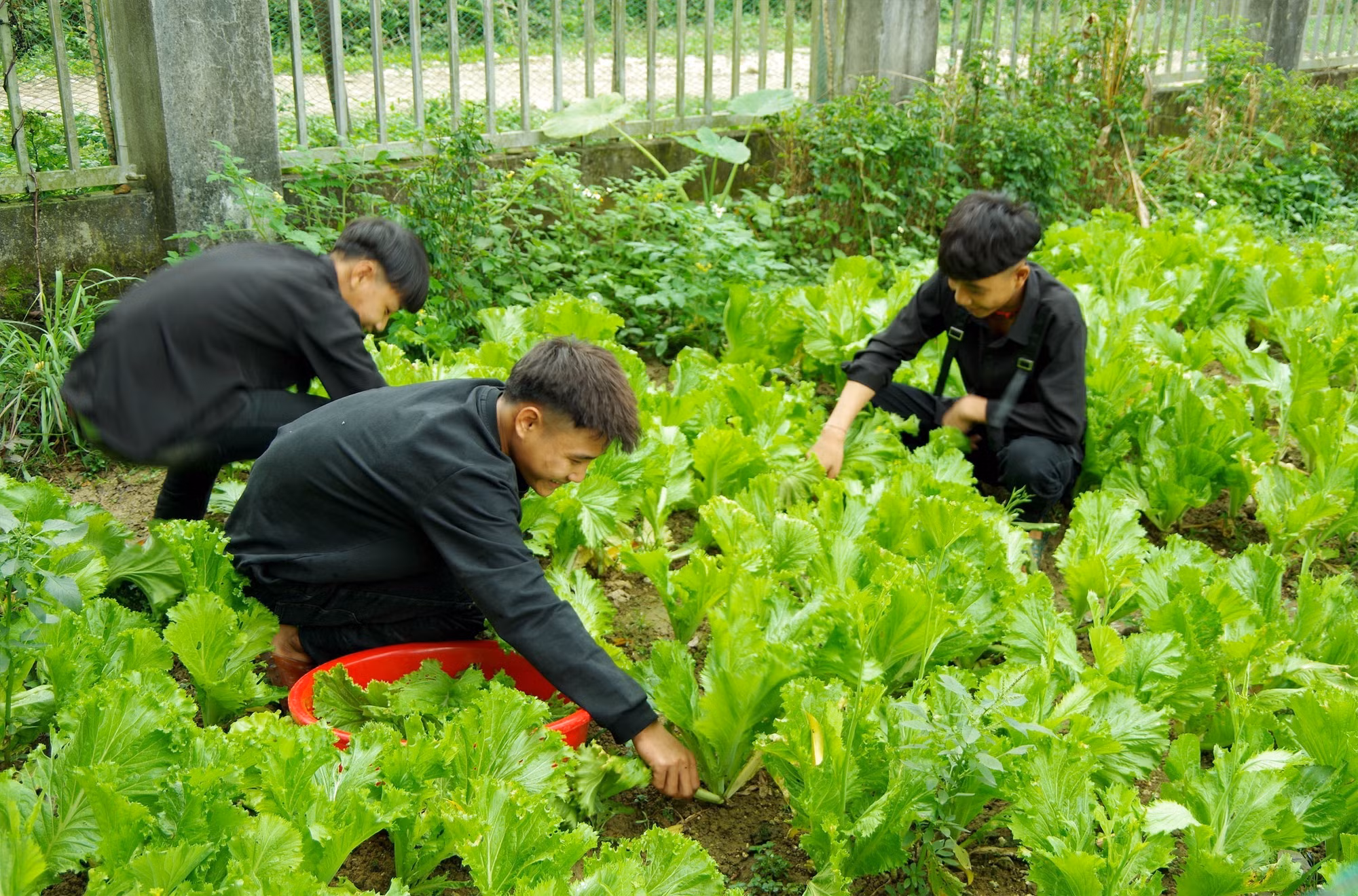  “Bố Biên phòng” đồng hành cùng học sinh người Đan Lai ảnh 1