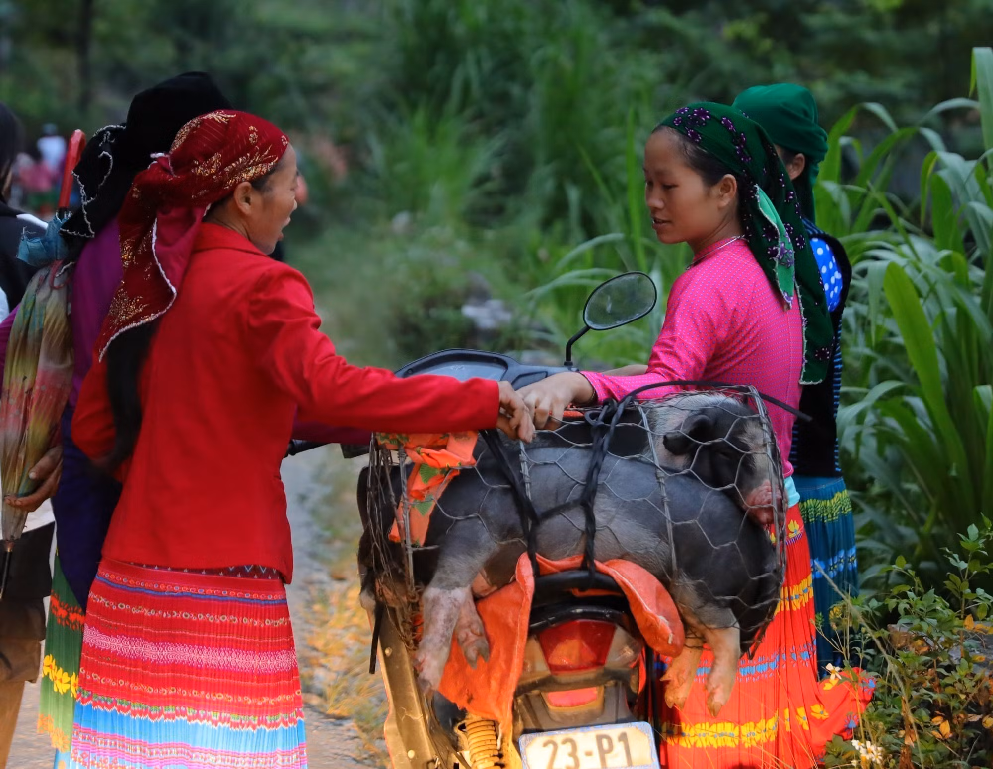 Đồng bào vùng cao Hà Giang nô nức xuống chợ phiên Mèo Vạc ảnh 2