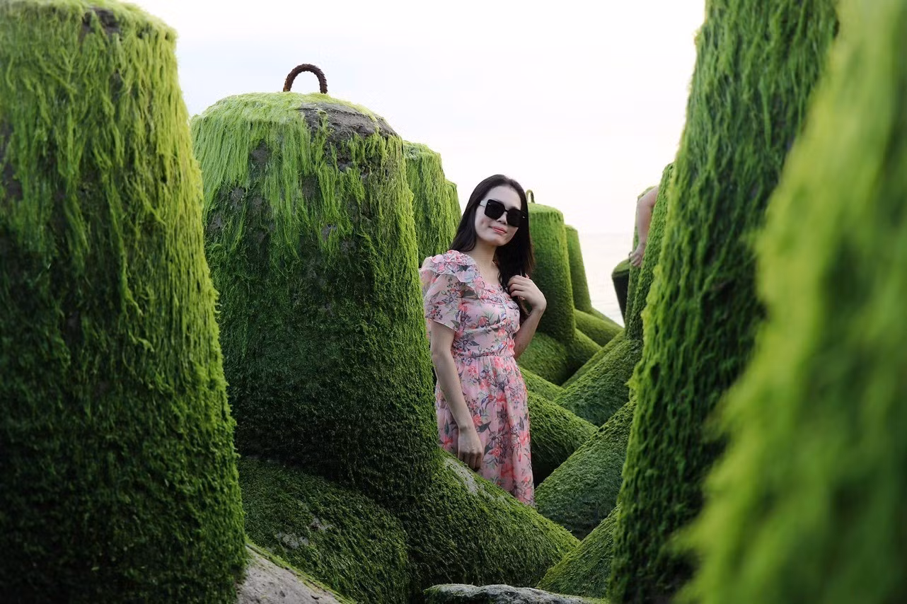 Ngắm rêu xanh mướt ở xóm Rớ (Phú Yên) ảnh 5