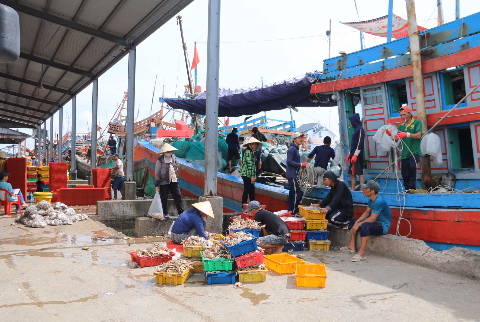 Kỳ tích trên những vùng quê Trà Vinh ảnh 5