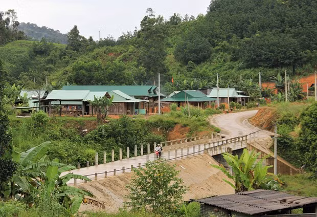 Tạo sinh kế bền vững cho đồng bào dân tộc thiểu số huyện Tây Giang ảnh 3
