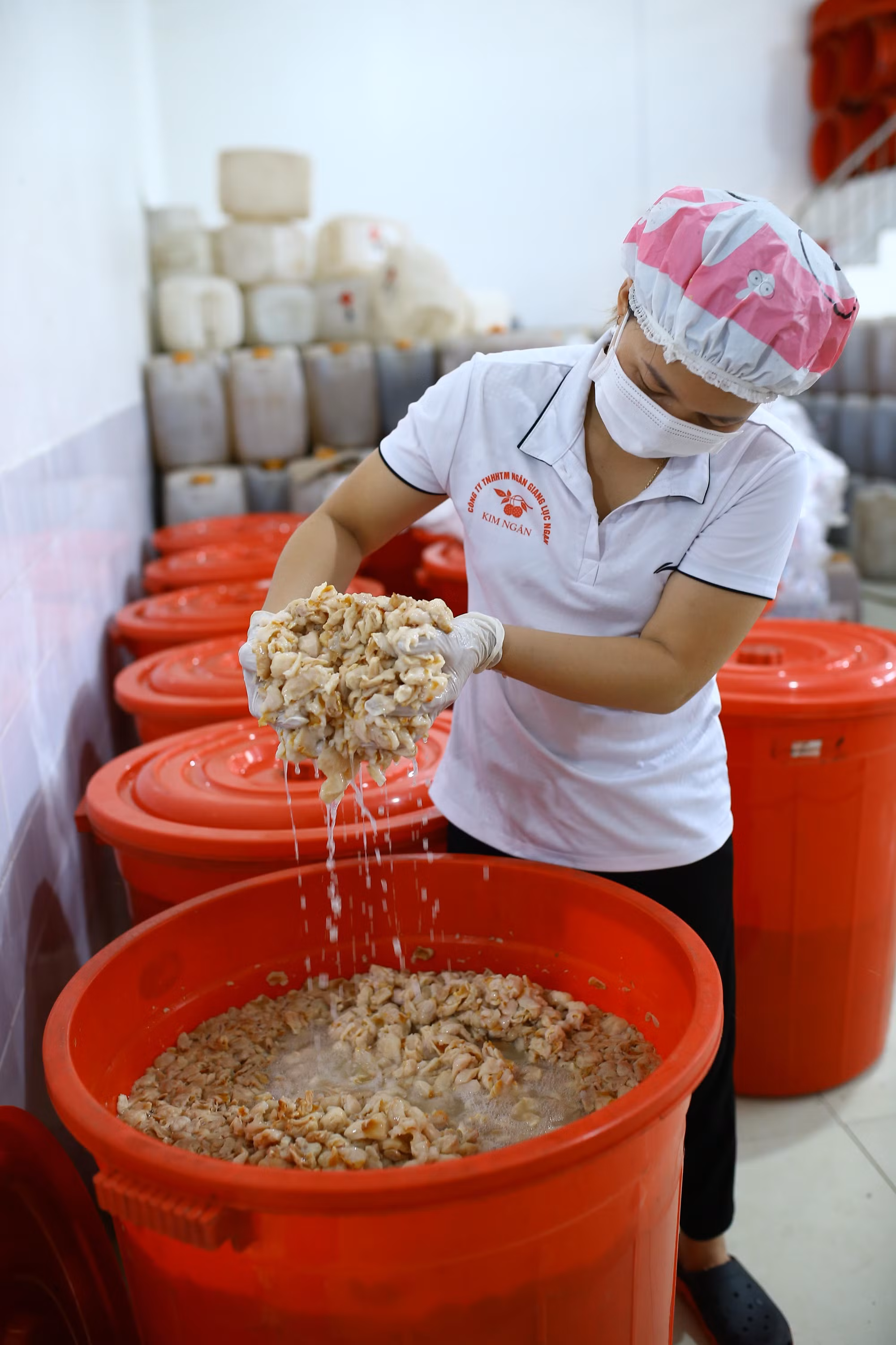 Giấm vải Kim Ngân ảnh 3
