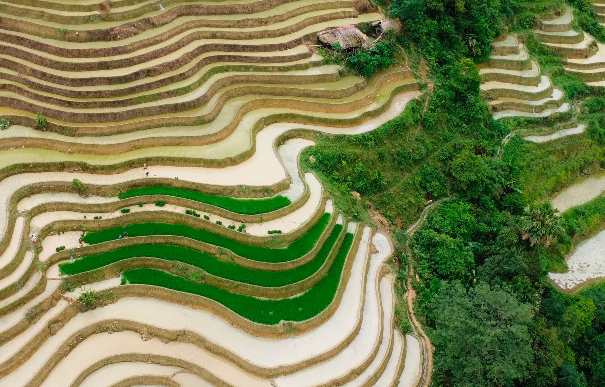 Hà Giang mùa nước đổ muộn ảnh 5