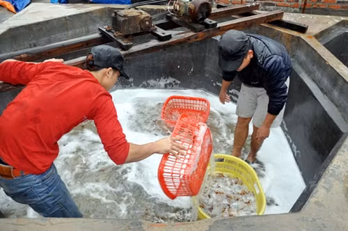 Bể ngâm sứa ở xưởng nhà ông Nguyễn Văn Đàn.