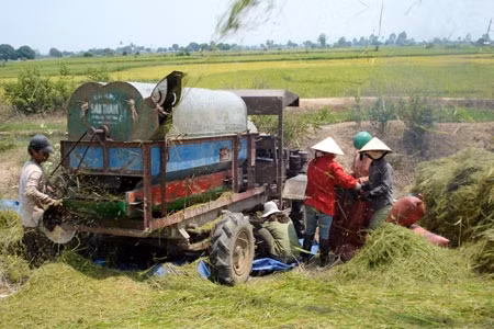 Cơ giới hóa trên những cánh đồng bất tận