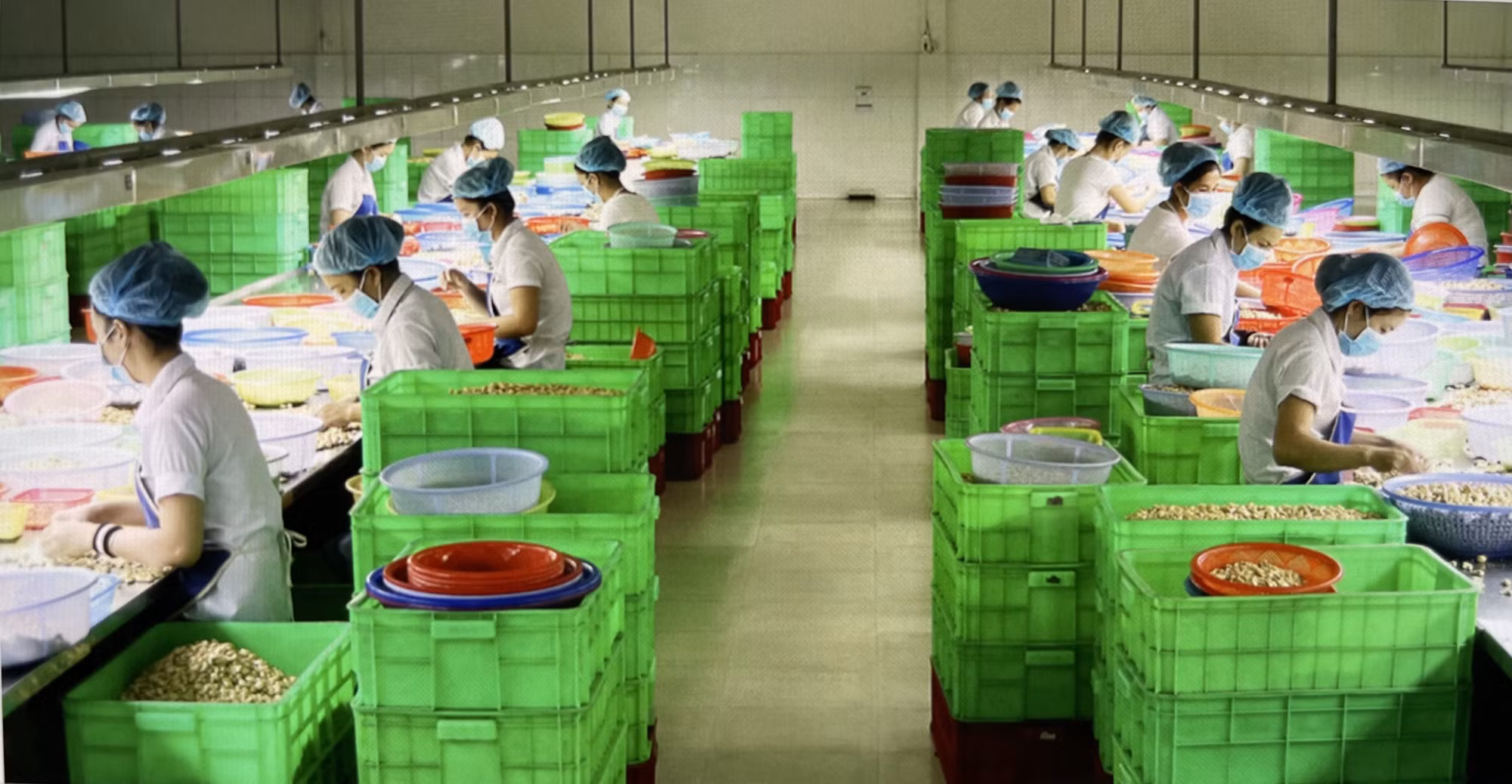 Nhiều hình thức liên kết phát triển nông nghiệp bền vững ảnh 1