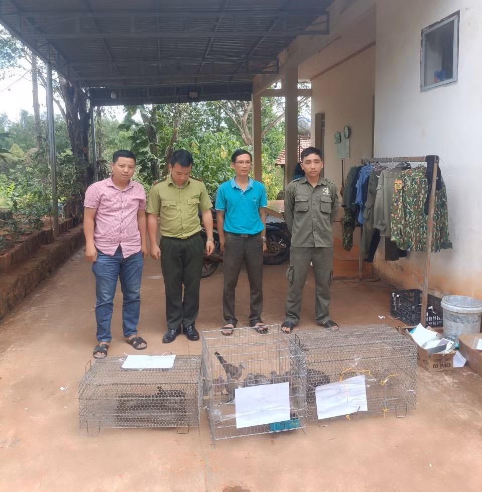 Bàn giao nhiều cá thể động vật hoang dã cho Vườn Quốc gia Bù Gia Mập ảnh 1