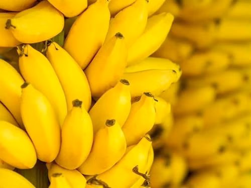 8 loại trái cây cho trái tim khoẻ mạnh ảnh 2