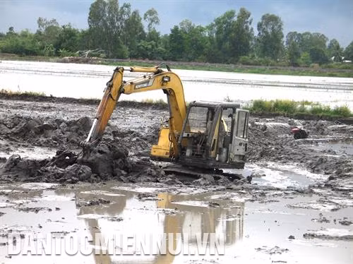 Nông dân ấp 2 xã Thạnh Lộc, huyện Cai Lậy (Tiền Giang) thuê cơ giới san lấp ao để sản xuất lúa vụ Đông - Xuân.