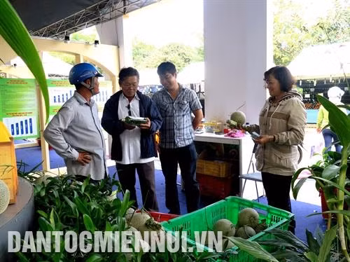 Người tiêu dùng chọn mua sản phẩm dưa lưới công nghệ cao của Trung tâm sinh học Thành phố Hồ Chí Minh.
