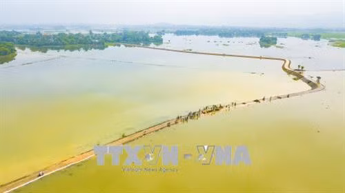 Bờ bao sông Na nằm giữa 2 xã Gia Lâm, Gia Thủy của huyện Nho Quan dài 5km. Ảnh: Minh Đức - TTXVN