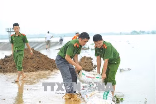 Lực lượng công an huyện Nho Quan gia cố chống nước tràn cho toàn tuyến đê bao. Ảnh: Minh Đức - TTXVN