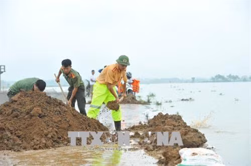 Lực lượng công an huyện Nho Quan gia cố chống nước tràn cho toàn tuyến đê bao. Ảnh: Minh Đức - TTXVN