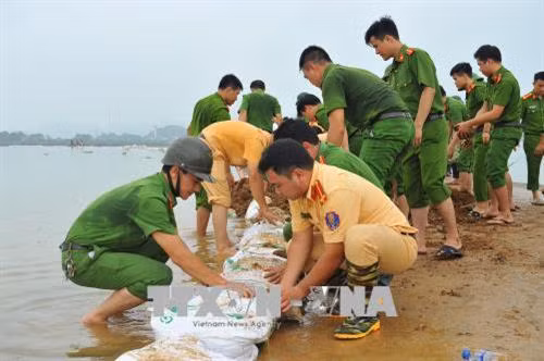 Lực lượng công an huyện Nho Quan gia cố chống nước tràn cho toàn tuyến đê bao. Ảnh: Minh Đức - TTXVN