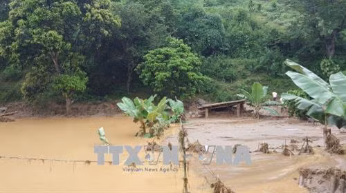 Khoảng 1.120 ha lúa, hoa màu bị thiệt hạ do mưa lũ tại Yên Bái. Ảnh Tuấn Anh - TTXVN