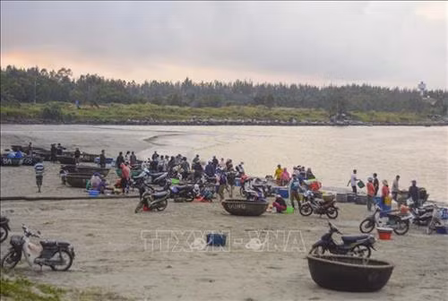 "Chợ ruốc" ở biển Thọ Quang phía dưới chân núi Sơn Trà. Ảnh: Văn Dũng - TTXVN "Chợ ruốc" được họp từ khoảng 1 giờ sáng đến 7 giờ sáng. Ảnh: Văn Dũng - TTXVN Người dân vận chuyển những thúng ruốc tươi lên bờ. Ảnh: Văn Dũng - TTXVN Ruốc biển được thương lái mua để mang về tiêu thụ tại các chợ trên địa bàn thành phố Đà Nẵng. Ảnh: Văn Dũng - TTXVN Ruốc biển tươi. Ảnh: Văn Dũng - TTXVN Với người dân Thọ Quang, mùa ruốc (tép biển) là dịp để tăng thêm thu nhập. Ảnh: Văn Dũng - TTXVN