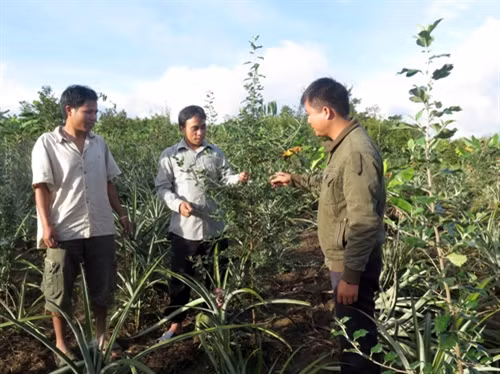 Ch’Ơm cất cánh từ lợi thế địa phương ảnh 1