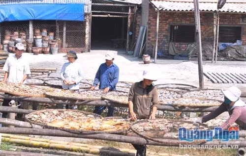 Mực khô Sa Huỳnh ảnh 1