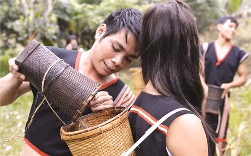 Lúa được đổ vào gùi để mang về nhà cúng lúa mới