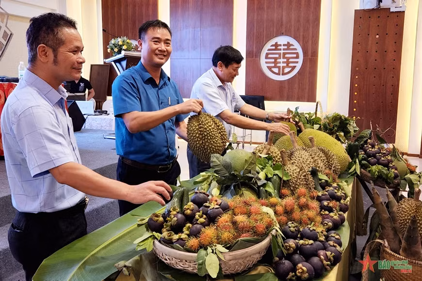 Sắp diễn ra lễ hội trái cây của huyện miền núi Khánh Sơn lần thứ 2 ảnh 2