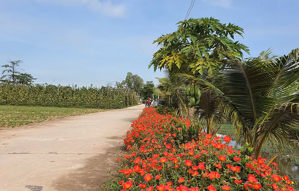 Xây dựng nông thôn trở thành những miền quê đáng sống ở An Giang ảnh 1