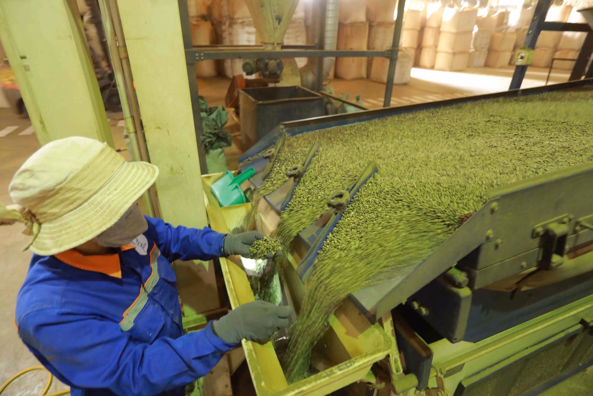 Nông sản Việt vươn xa ra thế giới (Bài 1) ảnh 2
