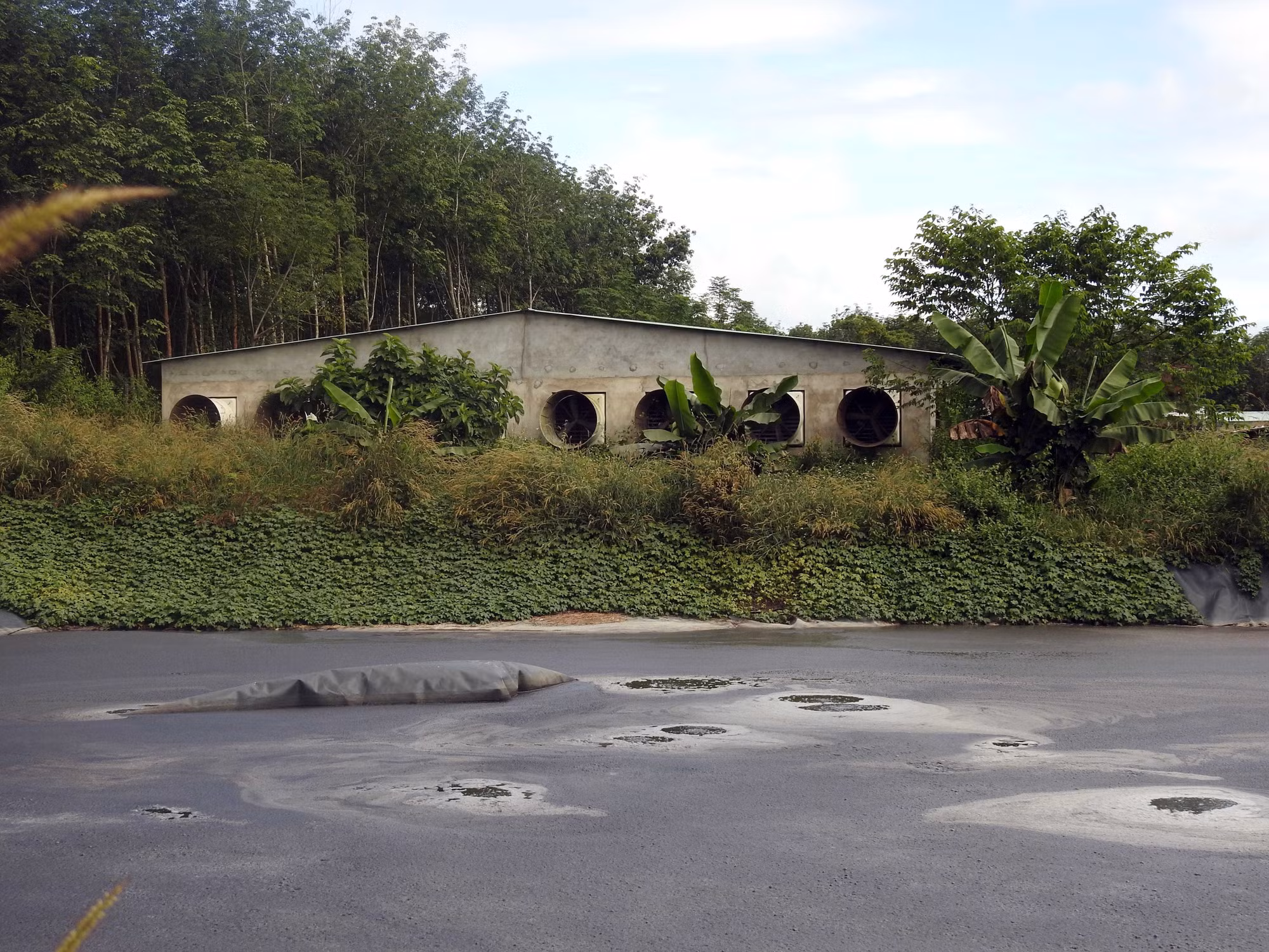 Kiểm tra, xác minh thông tin phản ánh về tình trạng ô nhiễm trại nuôi lợn ở huyện Đăk Hà ảnh 1