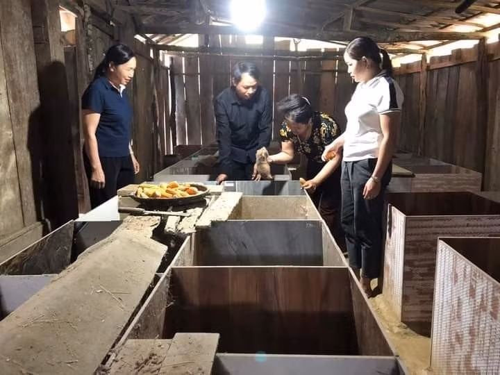 Trưởng Ban công tác Mặt trận người dân tộc Tày Ma Thị Thanh thoát nghèo từ mô hình nuôi dúi ảnh 1