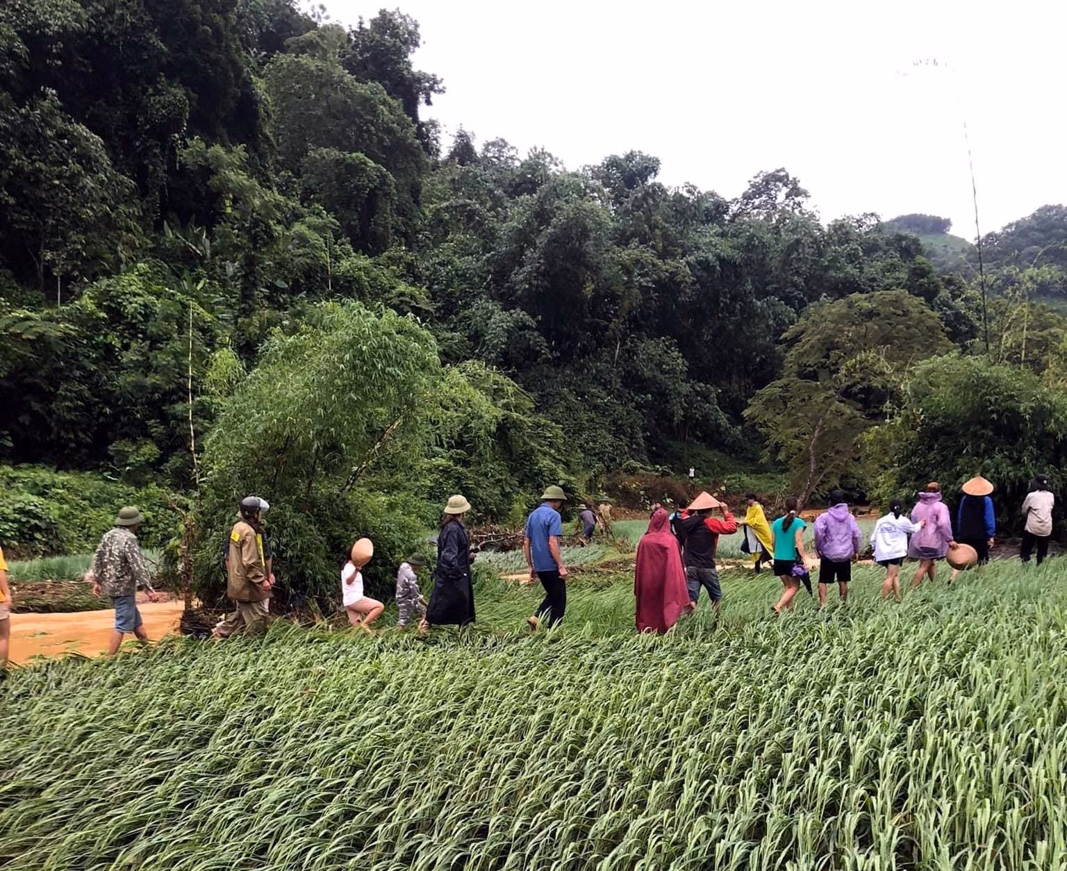 Tuyên Quang: Một người bị lũ cuốn trôi khi đi qua cầu tràn ảnh 2