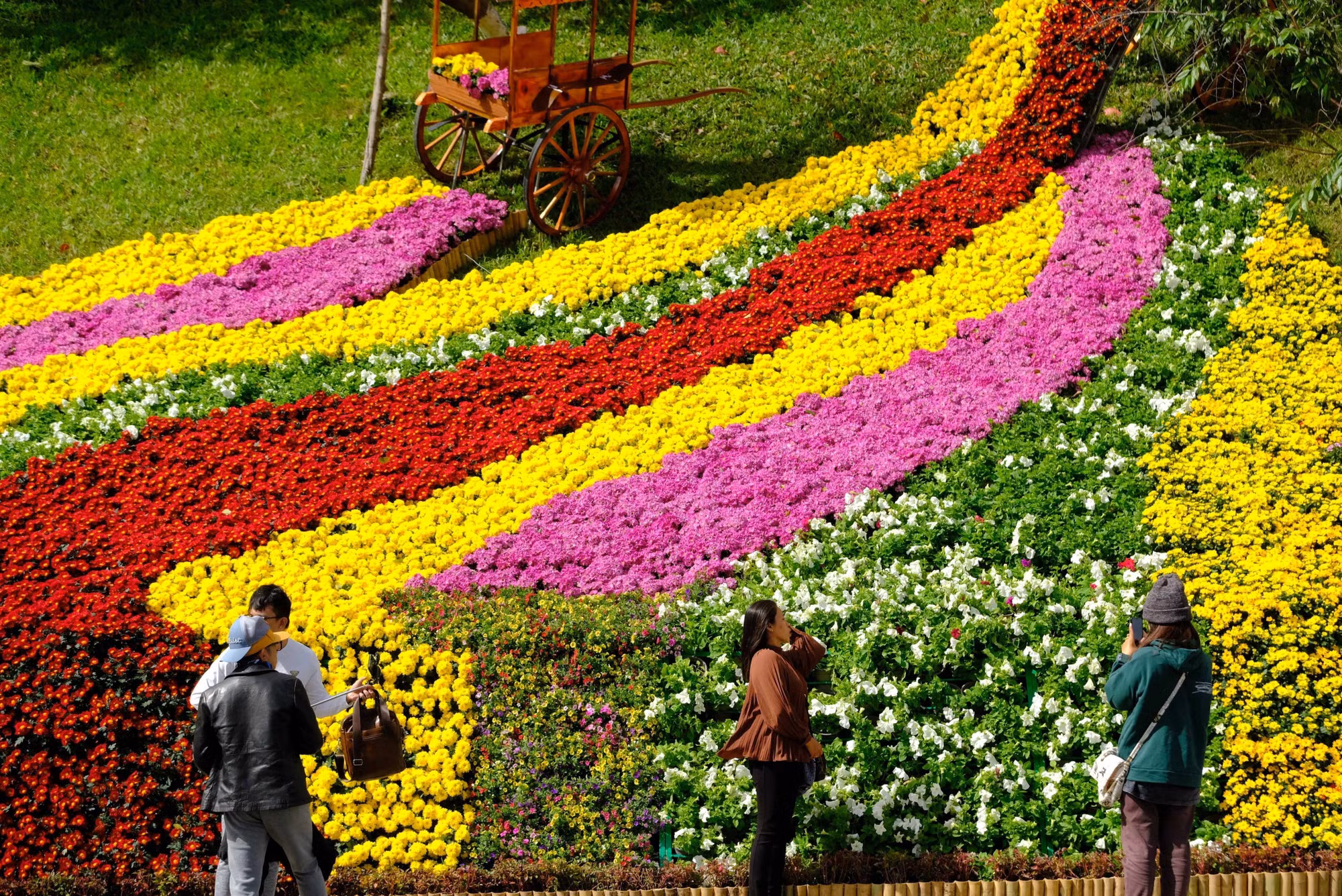Festival hoa Đà Lạt thu hút hơn 1,5 triệu lượt du khách ảnh 4