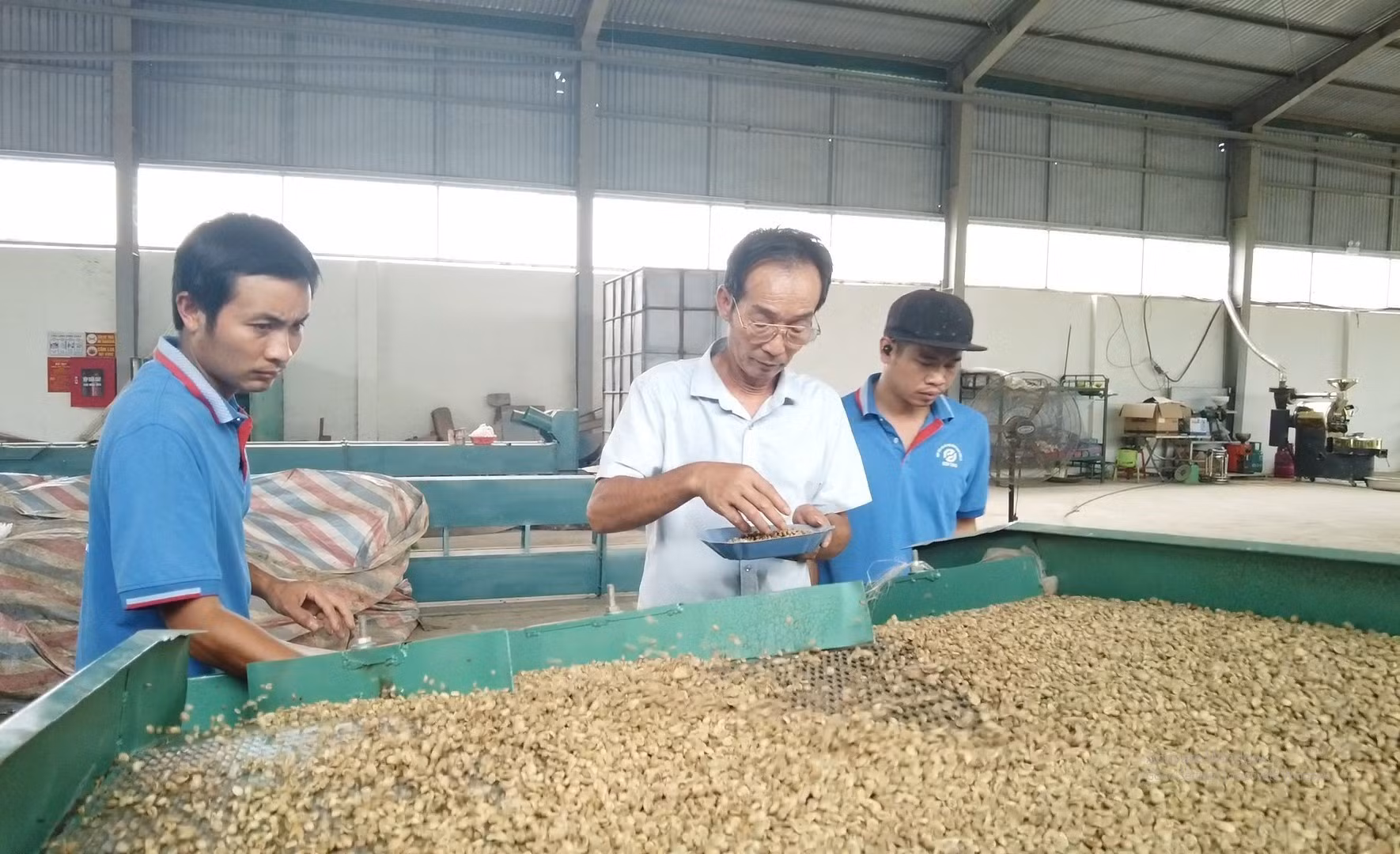 Cà phê - Cây xóa đói giảm nghèo ở miền núi Sơn La ảnh 6