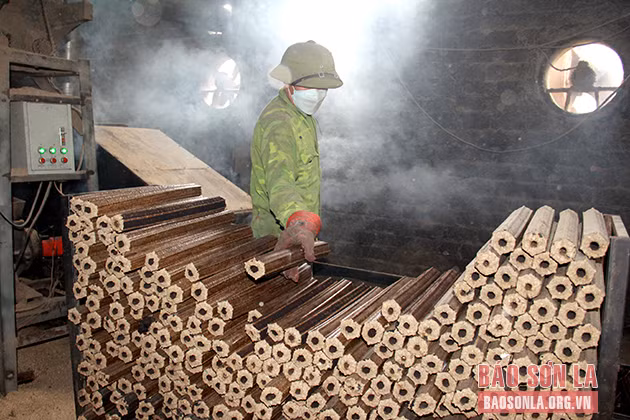 Đa giá trị từ tái tạo phụ phẩm nông nghiệp ảnh 1