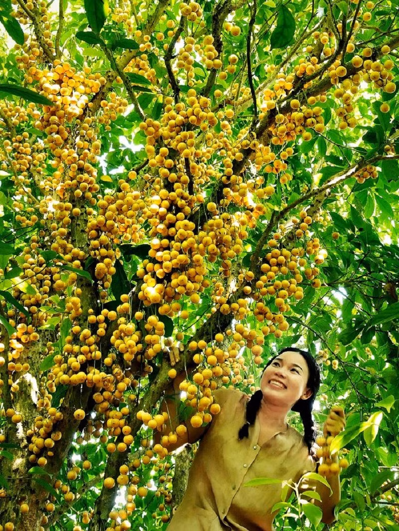 Phát triển du lịch cộng đồng, đa dạng hóa sản phẩm du lịch Xanh ở huyện miền núi Nông Sơn ảnh 2