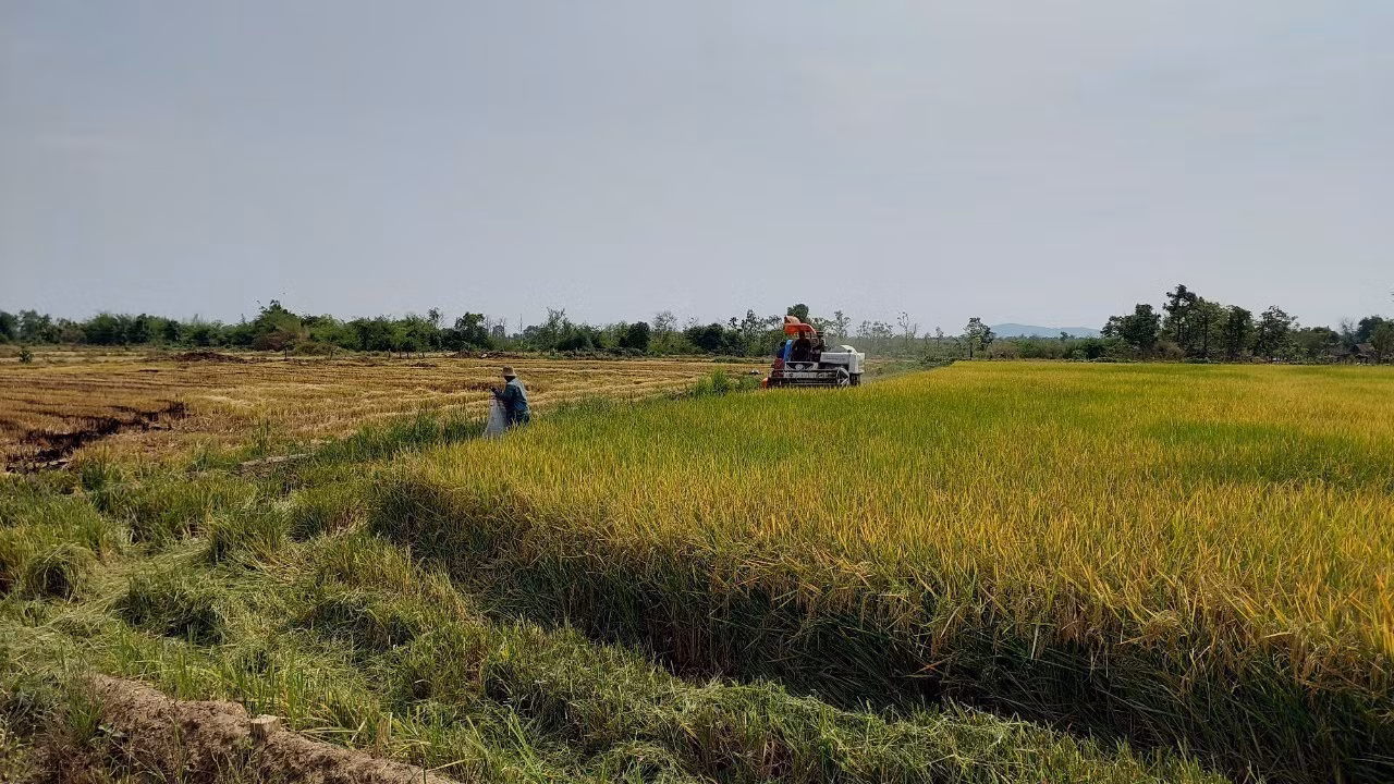 Quân - dân gắn kết, cùng chăm lo đời sống cho đồng bào dân tộc thiểu số Tây Nguyên ảnh 4