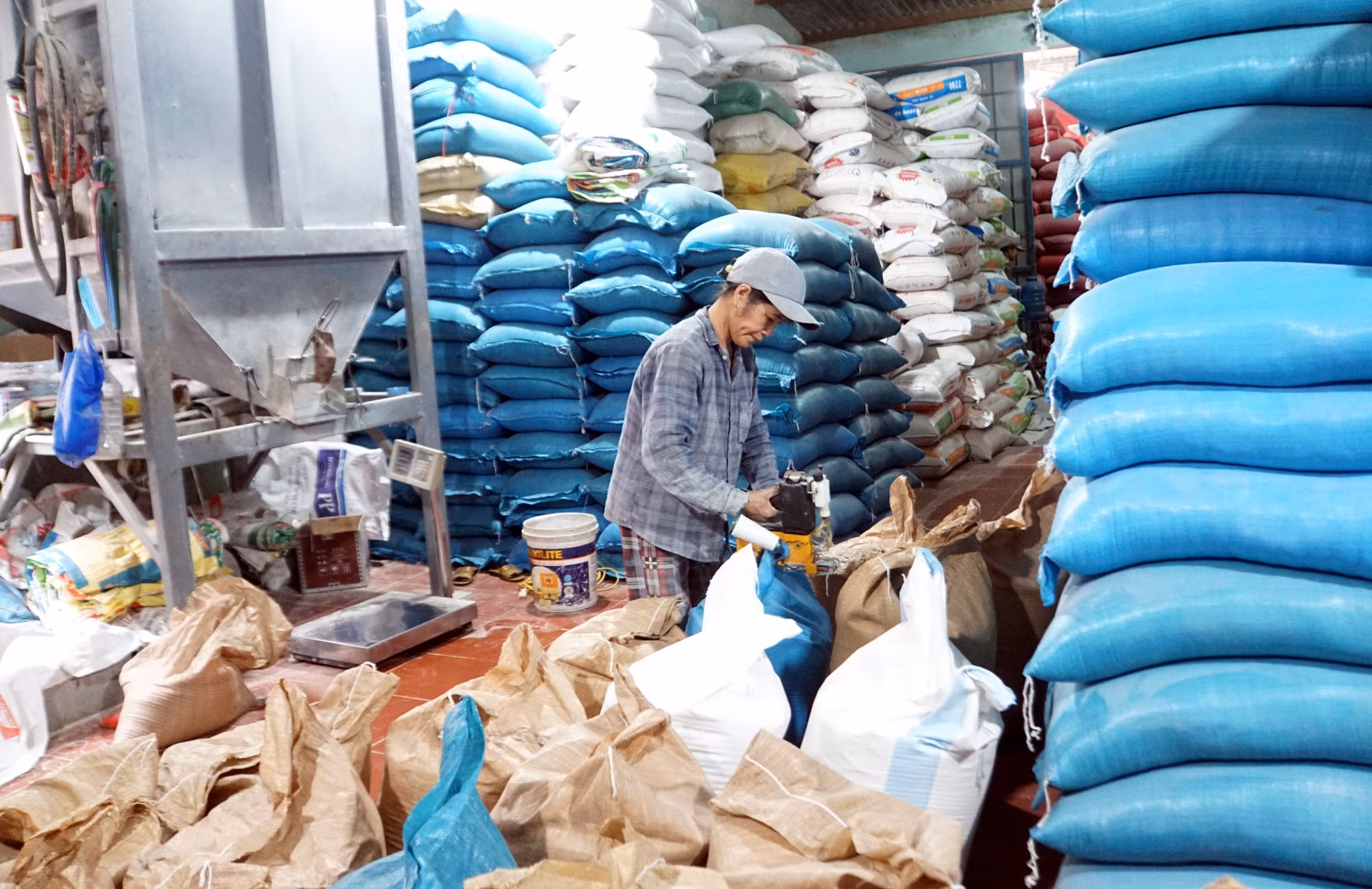 Đồng Phước Tào - Gương nông dân giỏi làm kinh tế ảnh 2
