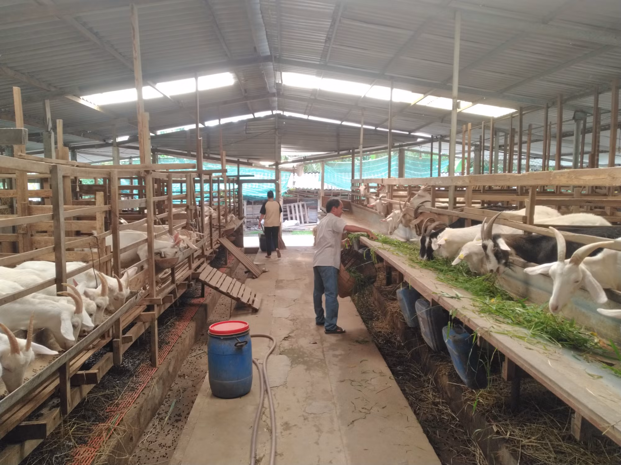 Du lịch nông nghiệp Tiền Giang hấp dẫn du khách ảnh 1