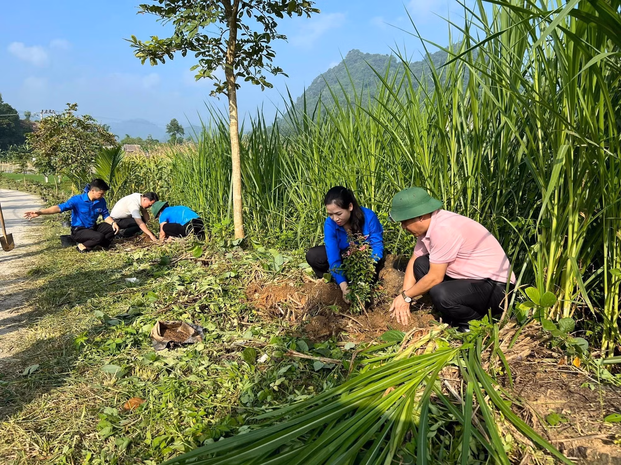 Tỉnh Đoàn Tuyên Quang đã hỗ trợ trồng gần 400 cây xanh và hoa tại các thôn Khuôn Điển, thôn Làng Nhà, thôn Làng Hản, xã Kim Quan, huyện Yên Sơn, tỉnh Tuyên Quang. Ảnh: Thu Huyền