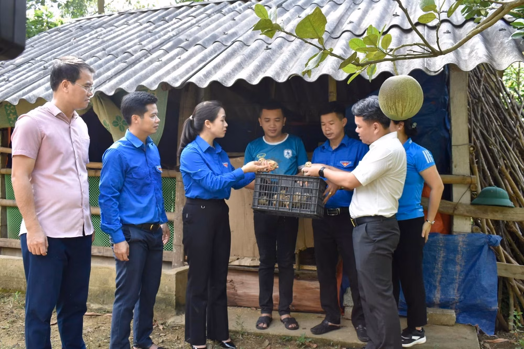 Lãnh đạo Tỉnh Đoàn Tuyên Quang trao tặng 500 gà giống cho hộ ông Triệu Văn Cân, thôn Làng Nhà; hộ ông Trần Mạnh Đồng, thôn Khuôn Điển, xã Kim Quan, huyện Yên Sơn. Ảnh: Thu Huyền